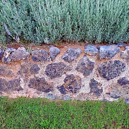 Penelope Lejlighedshotel